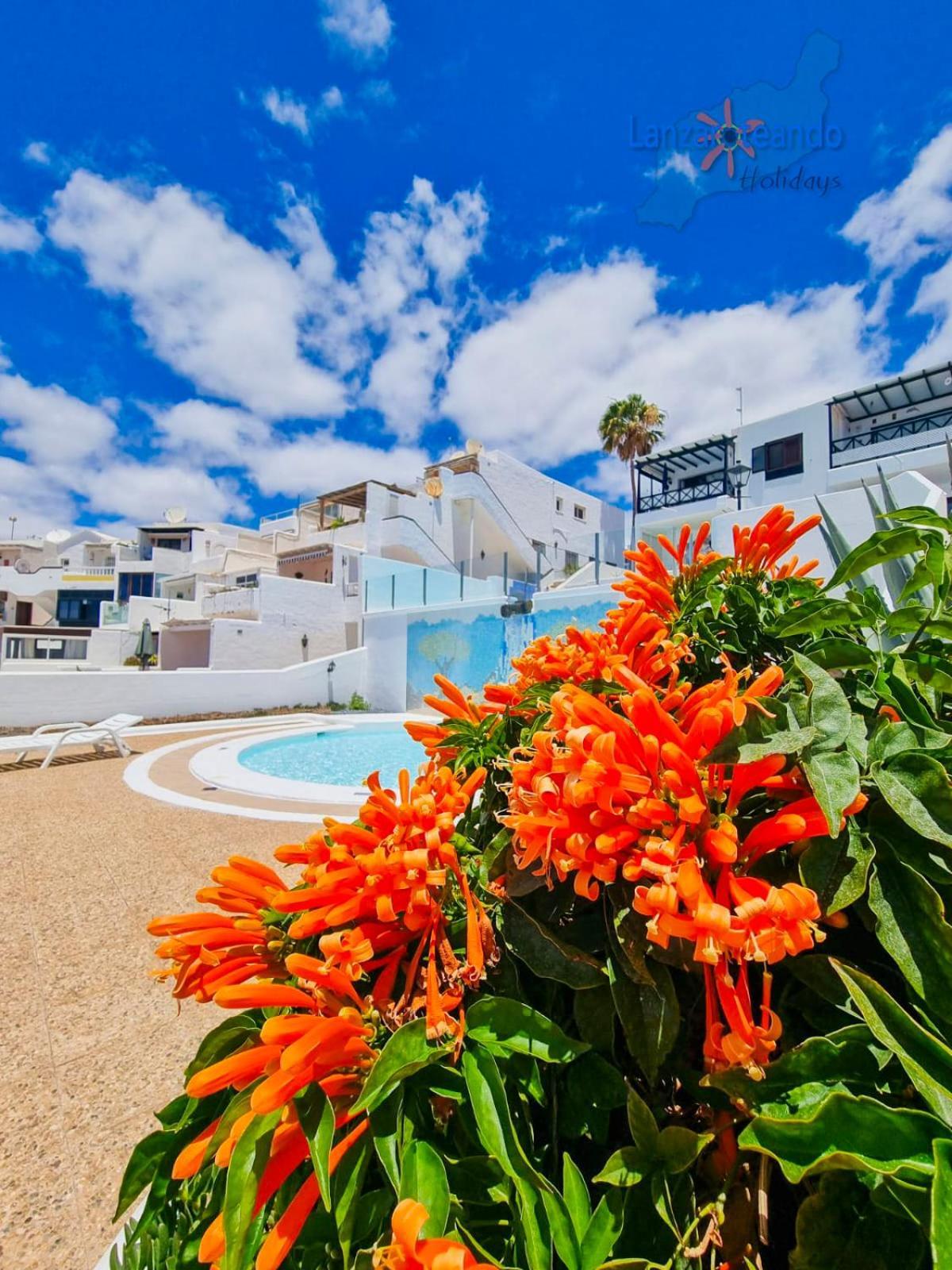 The Blue Cris-Tol Vv With Sea View Apartment Пуерто дел Кармен Екстериор снимка